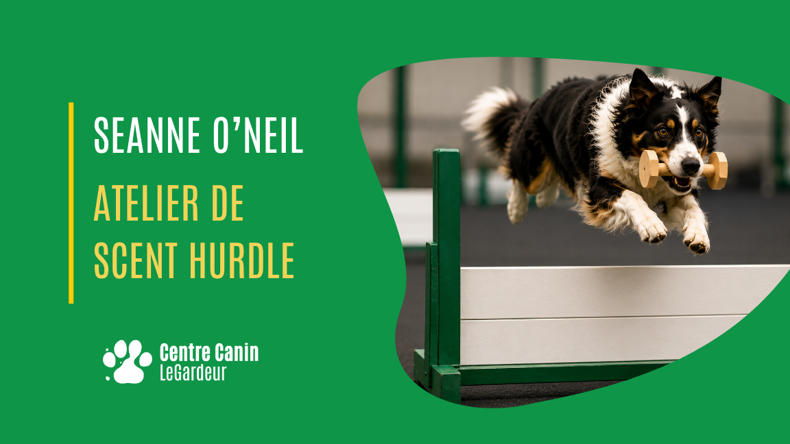 Atelier de Scent Hurdle