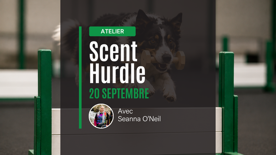 Atelier de Scent Hurdle