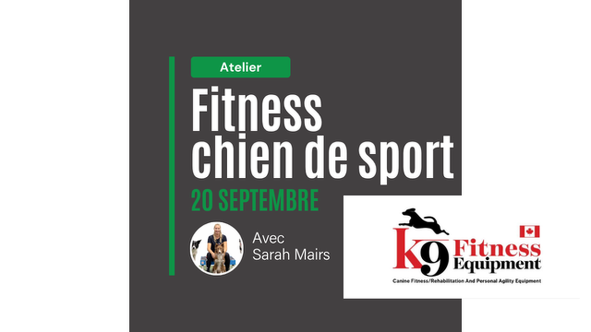 Fitness pour chien de sport avec Sarah Mairs