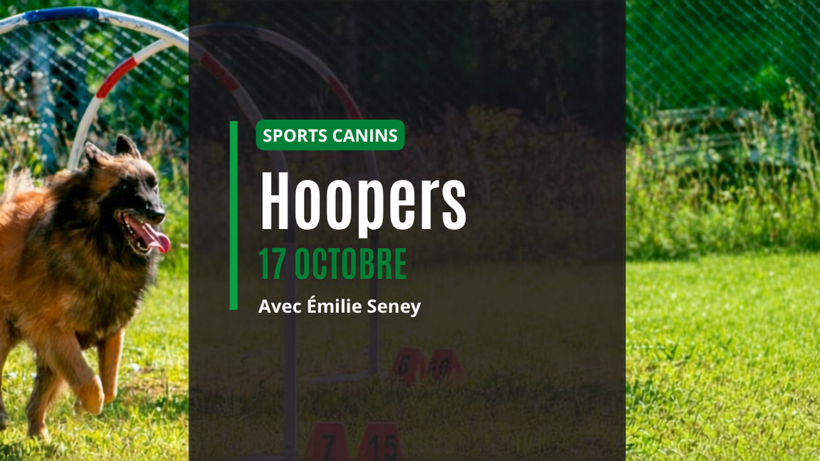 Ateliers découvertes Hoopers