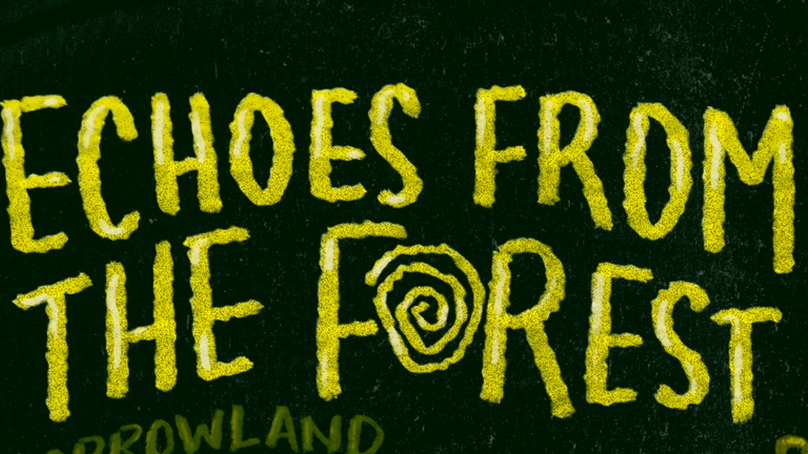 Echoes from the Forest