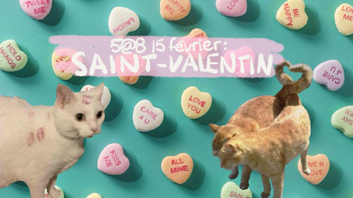 5@11 sciences: Couple OD / St-Valentin