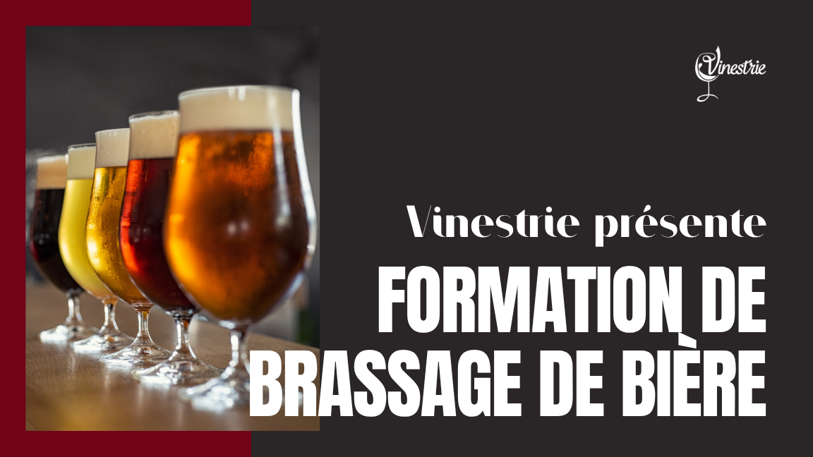 Formation de brassage de bière