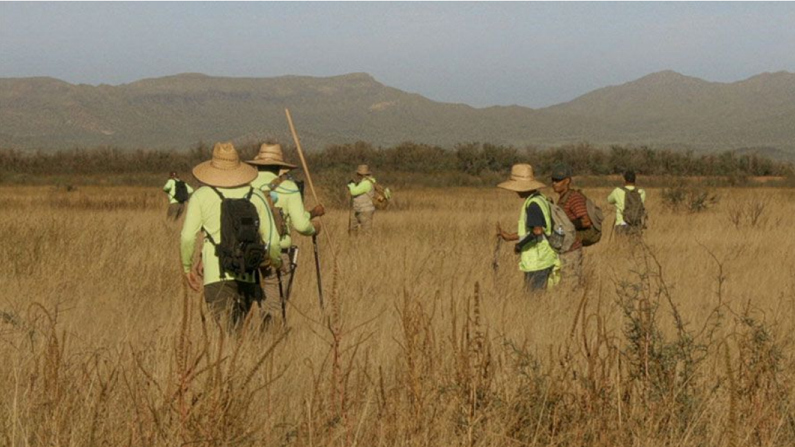 Mais où va-t-on coyote ? | Jonah Malak | Long métrage documentaire