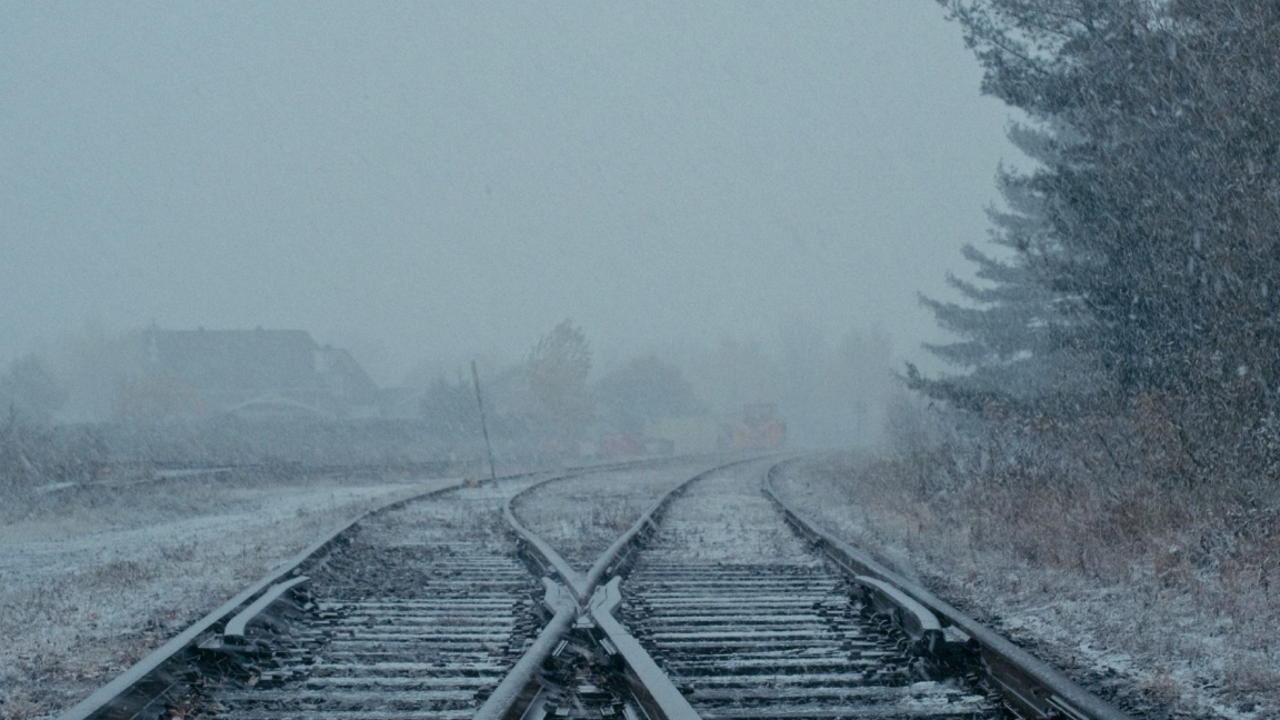 Dans les brumes | Multiples réalisateur·ices | Programme de courts et moyens métrages