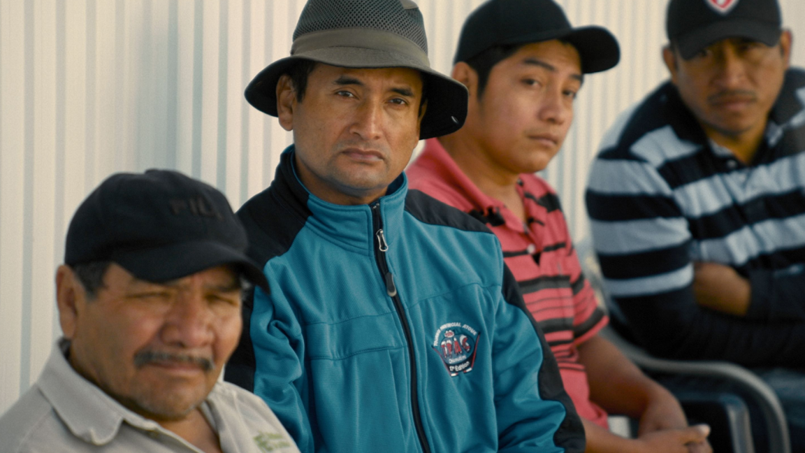 Les blues du bleuet | Andres Livov | Long métrage documentaire