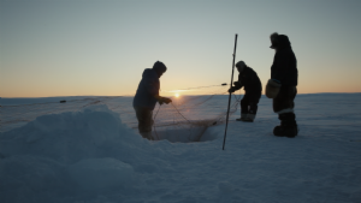 Focus : Nunavut, notre monde en changement