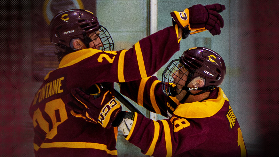 Hockey masculin de Concordia c. McGill Redbirds