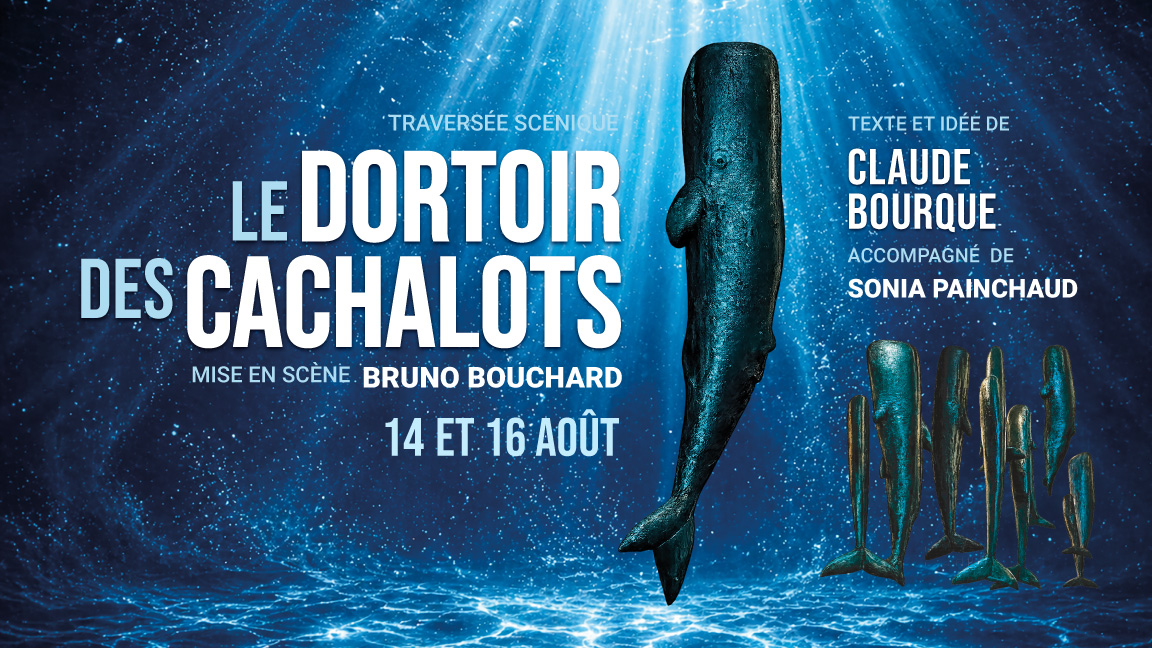 Le dortoir des cachalots