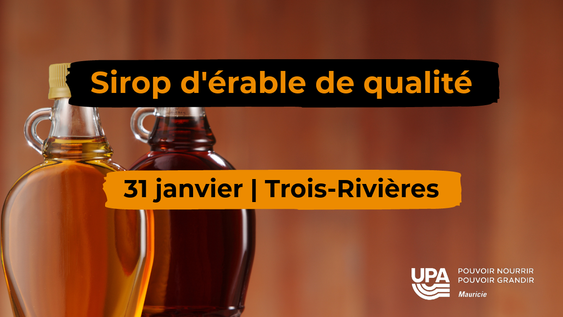 Sirop d'érable de qualité