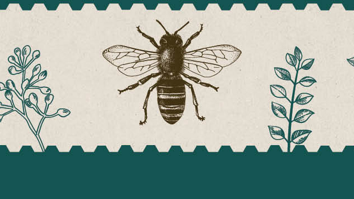 Networking Activity - Research in the beekeeping sector