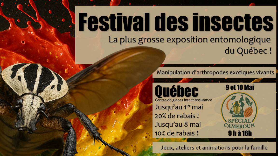 FESTIVAL DES INSECTES DE QUÉBEC