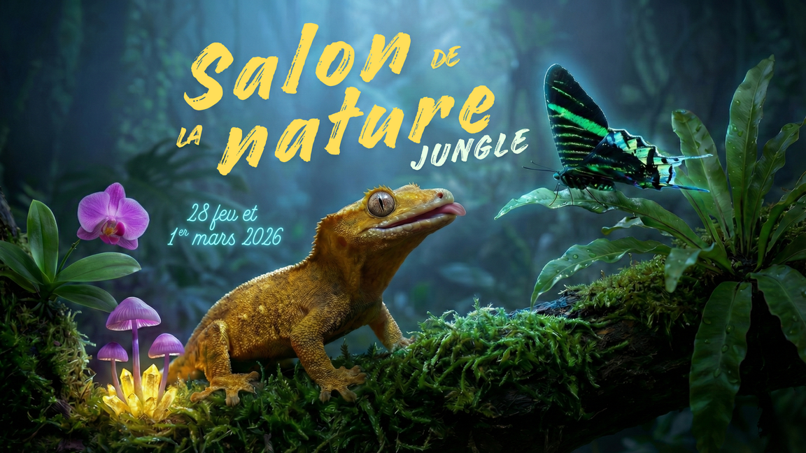 LE SALON DE LA NATURE