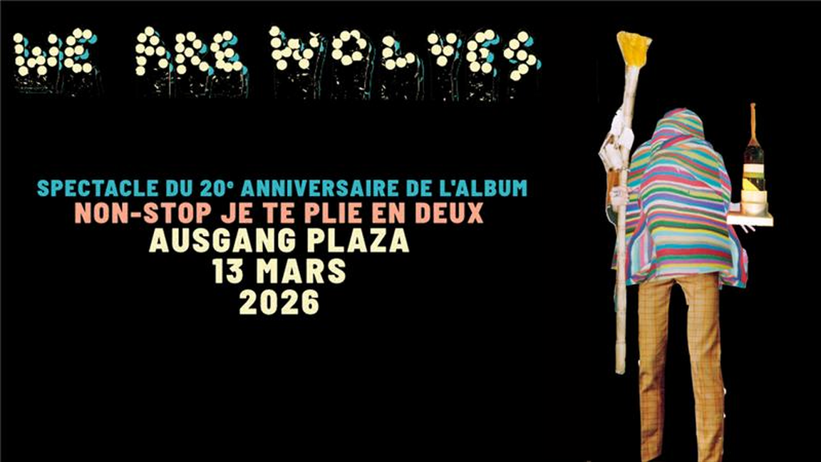 WE ARE WOLVES - 20 ANS D'ART PUNK