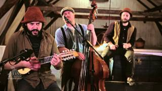 Balcon - Les Chiens de Ruelles