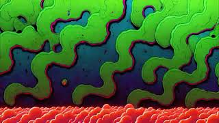 B.A.R.F. - Dans le rouge de tes yeux (Vidéoclip Officiel)