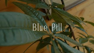 Blue Pill by Emily Steinwall (live at-home session)