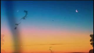 Amy Millan - Kiss that summer (Official Video)