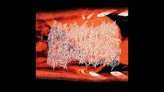 Beurre - Superposition (Official Audio)