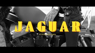 Rough Gentlemen - Jaguar