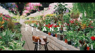 Alex Pic - Filante (Acoustique Live)