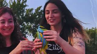 Simply Brick - Goat Beach Is My Way (Music Video)