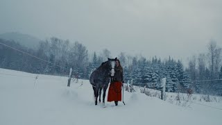 Everly Lux - nature has a way to greet me (music video)