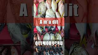 John Edmond #quimorucru #gaspésie #musiquefestive #chanson #folk #folkmusic #folklore