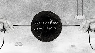 Les oiseaux - Lyric video