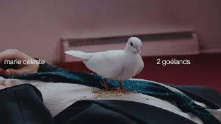 Marie Céleste - 2 goélands [vidéoclip officiel]