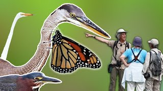 Pris au Piège - Court métrage : Immersion dans les zones humides du Technoparc sur l’Île de Montréal