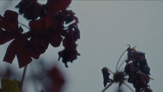 Érika Zarya - Dans Une Autre Life ft Akim Beats