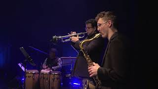 Polymita live