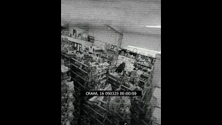 CRAWL 16 - T-TRIS x SAYONARA JONES