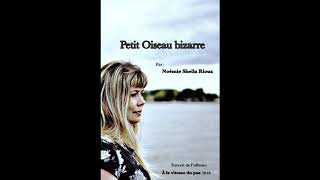 Petit oiseau bizarre - Noémie Sheila Rioux