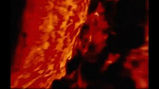Quebec Nihilism Front - Beautiful Fragrance (Official Visualizer)